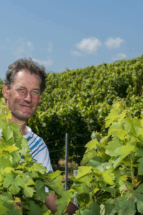 Apéro'vignes aux Fruits de la Treille