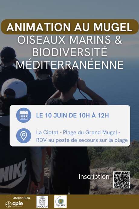 Seabird watching and exploring Mediterranean biodiversity on Grand Mugel beach