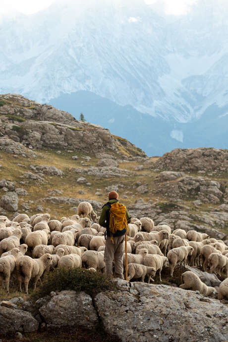 Zen Agritude : conférence sur les interactions en milieux montagnards