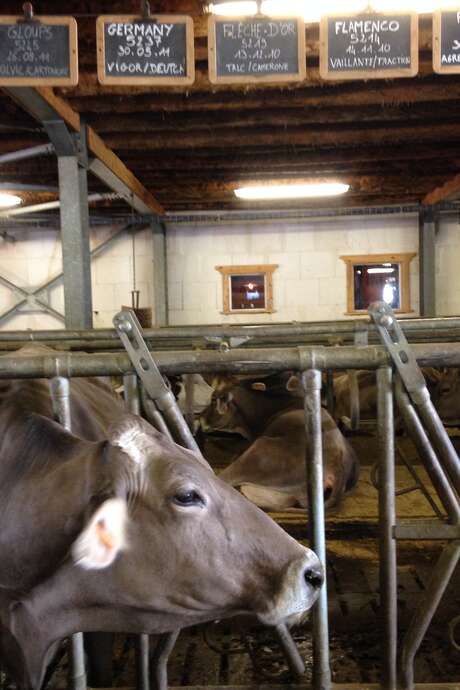 Visite à la ferme