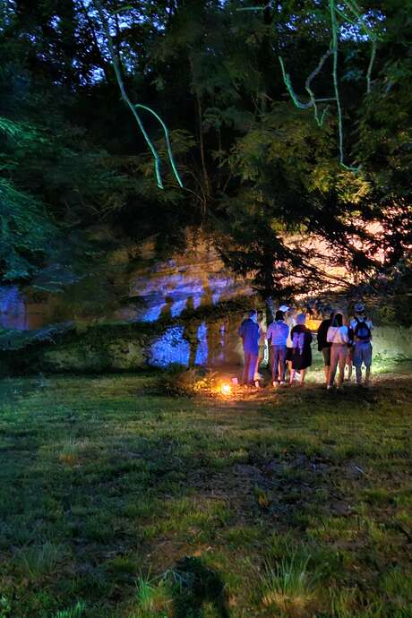 L’enquête de la Forêt Interdite - Nouveau scénario