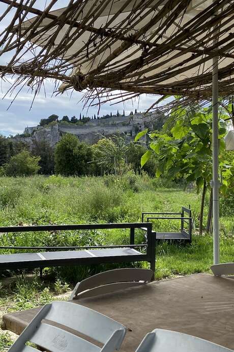 Balade "Plantes sauvages et permaculture"