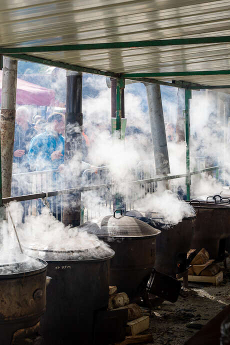 AILLON-LE-JEUNE FAIR