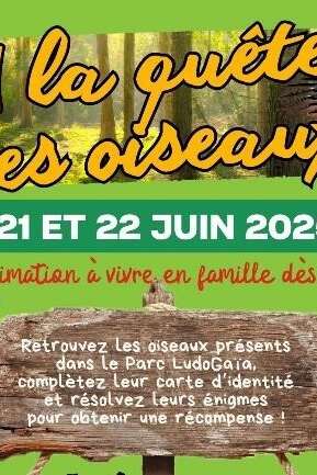 À la quête des oiseaux au Parc LudOGaïa