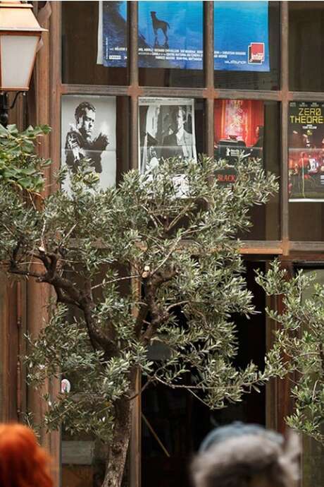 Territoires cinématographiques