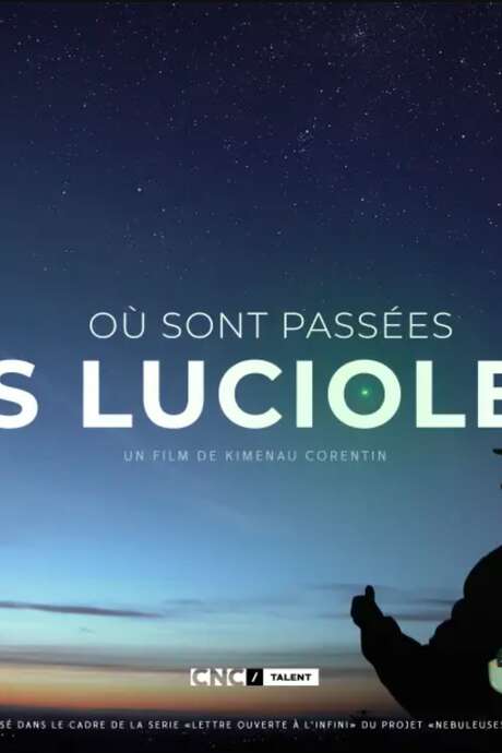 Soirée ciné nature "Où sont passées les lucioles ?"