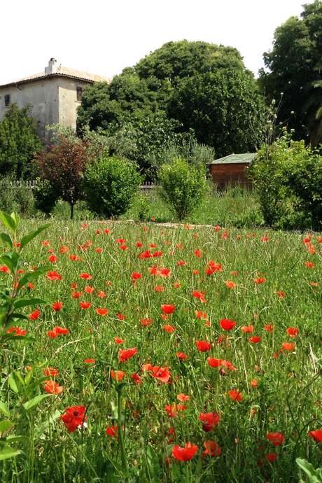 Visite des Jardins de la Bastide Marin