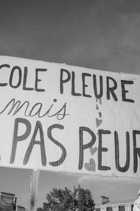 Le Professeur Le Professeur