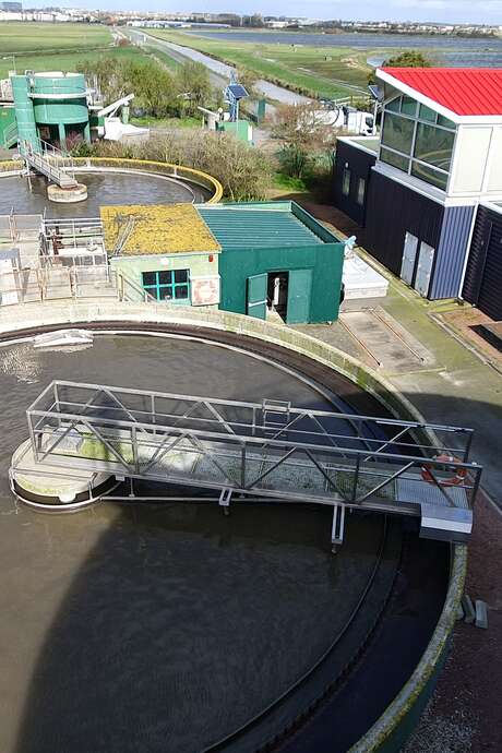Nature getaway, the marshland from the transporter to the lagooning station