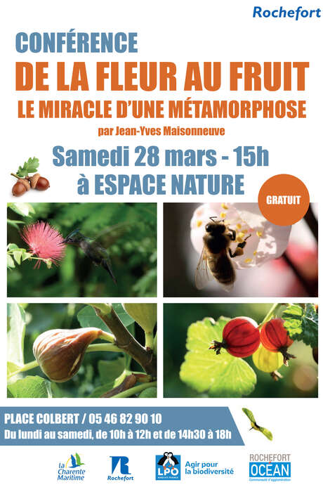 Tour: From flower to fruit: the miracle of transformation