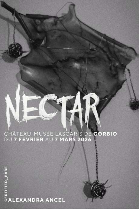 Installation Nectar -  Château-Musée Lascaris - Gorbio