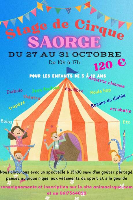 Stage de cirque