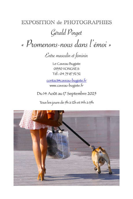 Exposition de Gerald Pinget au Caveau Bugiste