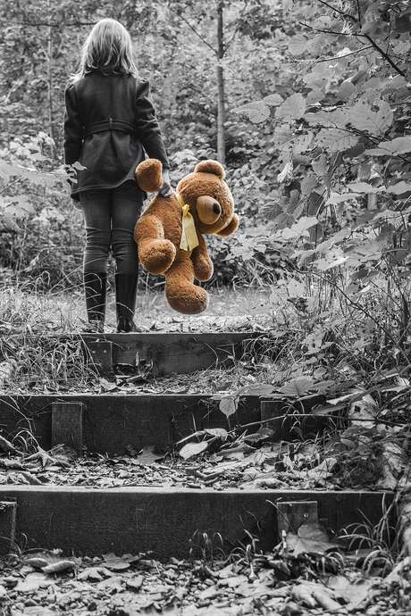 Tristesse et joie dans la vie des girafes