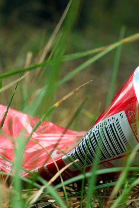 Journée Ramassage des déchets - La Féclaz