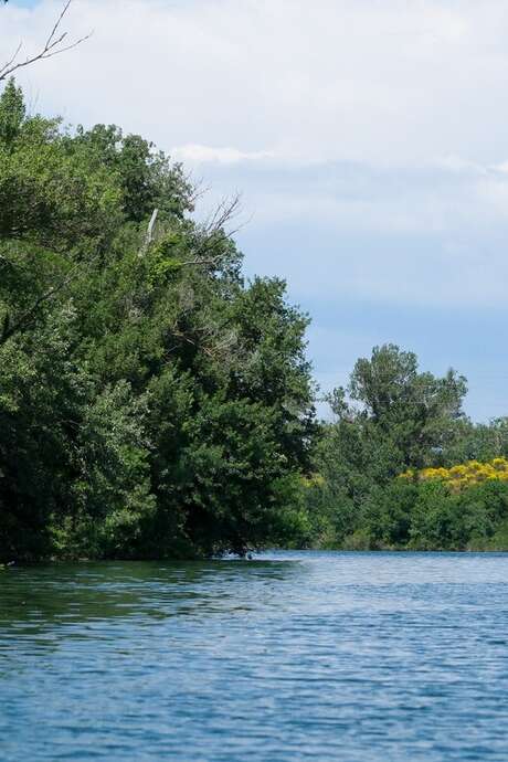 Découverte de l’île de la Barthelasse