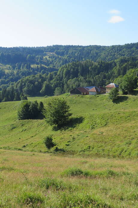 Rencontre à l'alpage de la Cluse : visite guidée