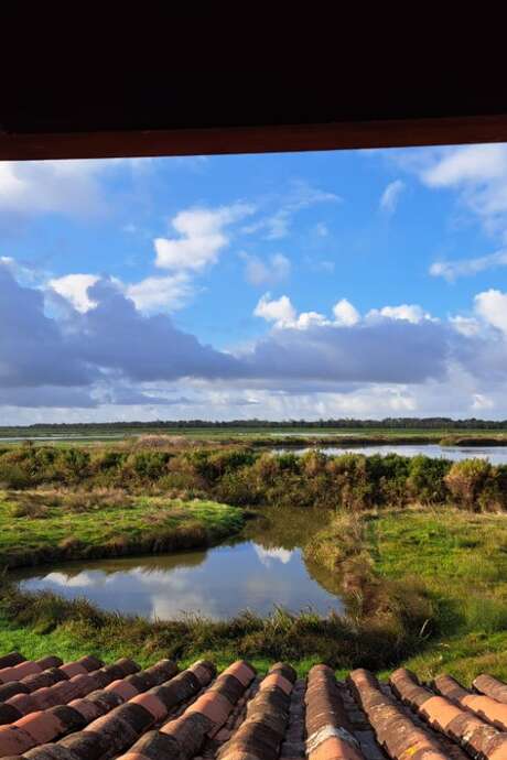 Entdeckung der Biodiversität