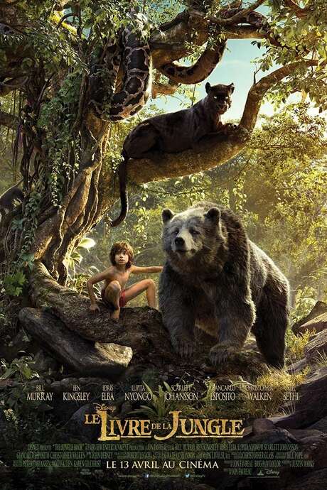 Cinéma plein air "Le Livre de la Jungle"