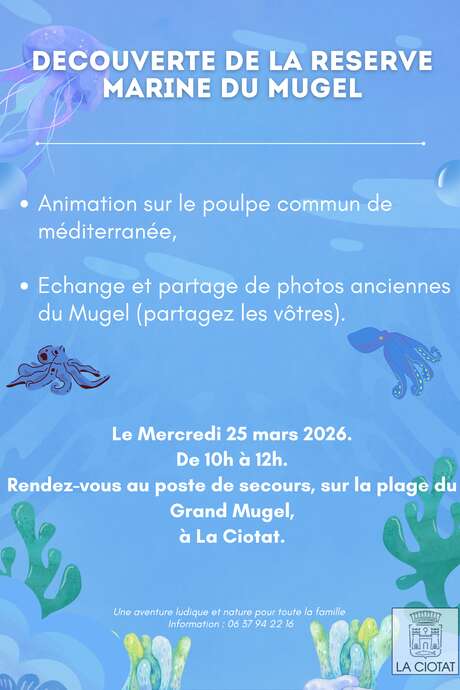 Búsqueda del tesoro en torno al pulpo común del Mediterráneo