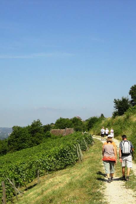 Balade gourmande : la Vigneronne - édition 2026