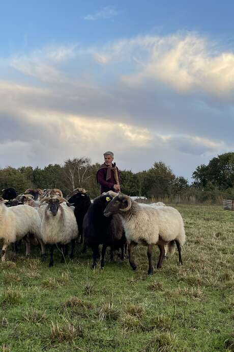 Spaziergang mit einem Seeschafhirten zum Thema ökologische Weidewirtschaft