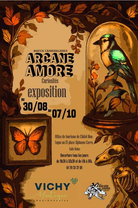 Exposition - Curiosités - Arcane Amore