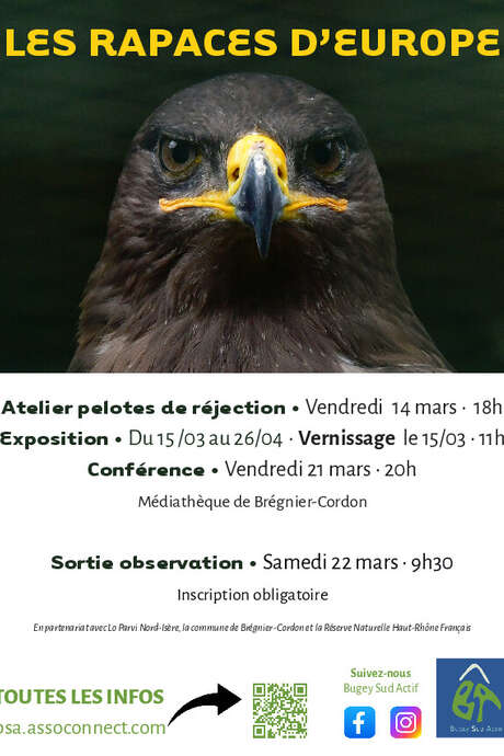 Les Rapaces d'Europe : exposition