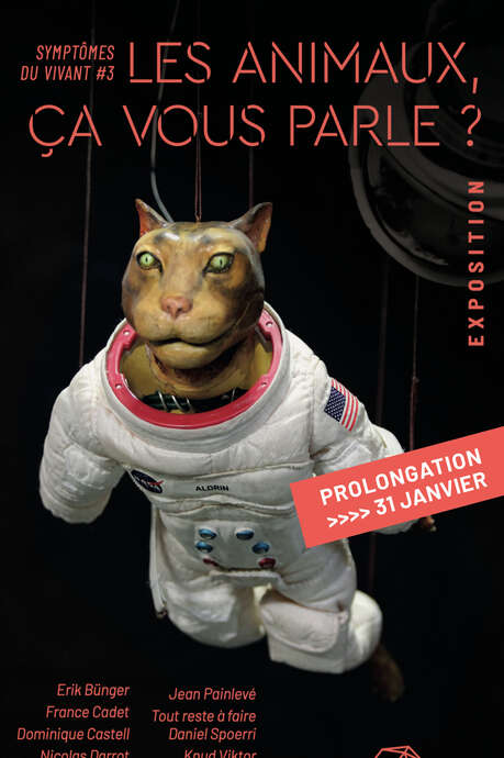 Gli animali hanno un significato particolare per lei?