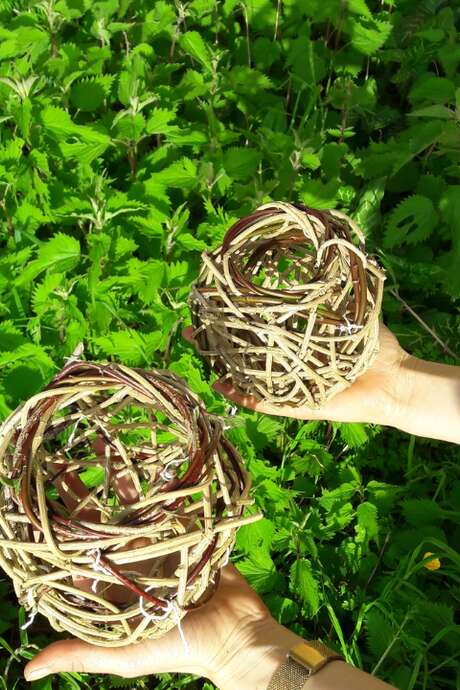 Praktikum: Wildkorbflechten-Workshop