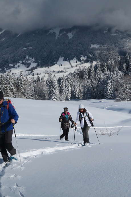 Balade raquettes dynamique La Féclaz ou Le Revard.