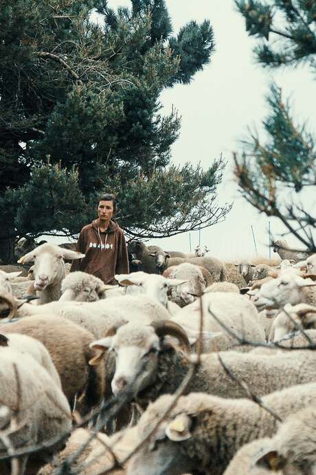 Ciné nature : Une journée, un berger