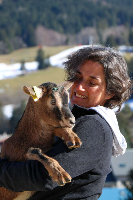 Métier passion à la chèvrerie des Cabrioles