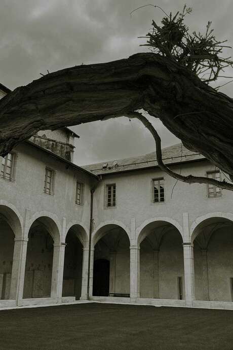 Histoires effrayantes au musée I Halloween