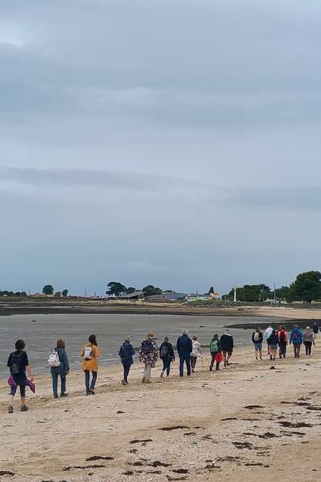 Coastal Walk