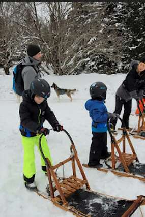 Musher kid, école de chiens de traîneaux