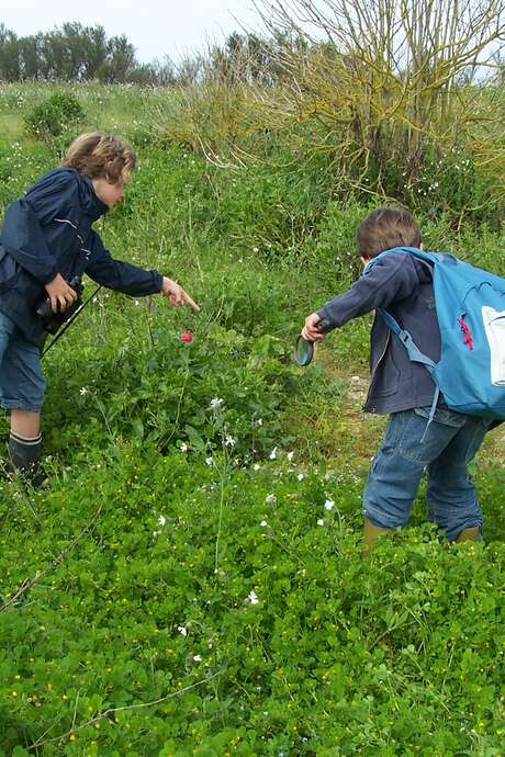 Safari junior : Détective en herbe