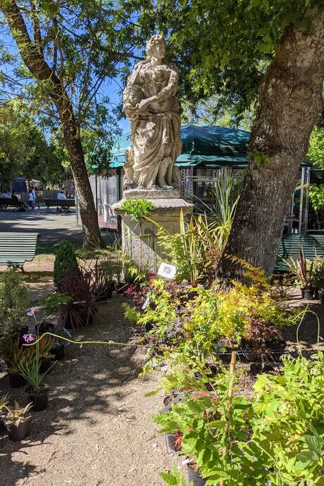 Rendezvous in the gardens