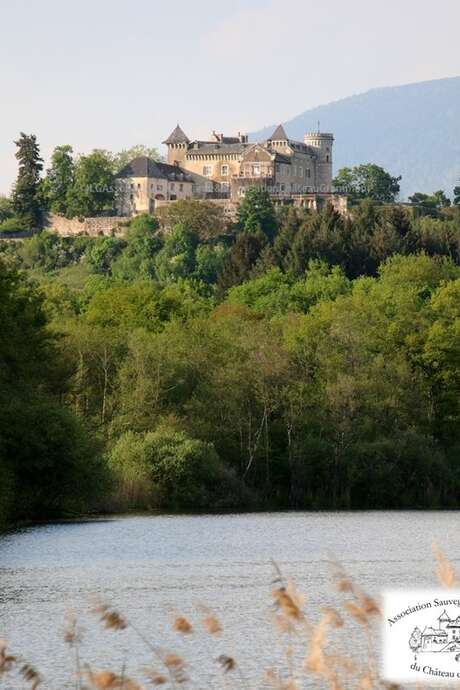 Visite du Château de Grammont