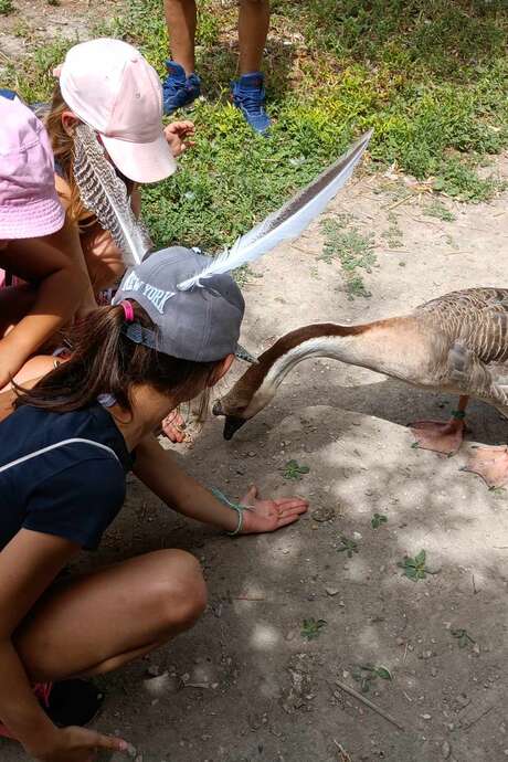 Week-end «Plumes & Couleurs» à la ferme !