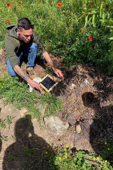 Découverte des plantes sauvages comestibles