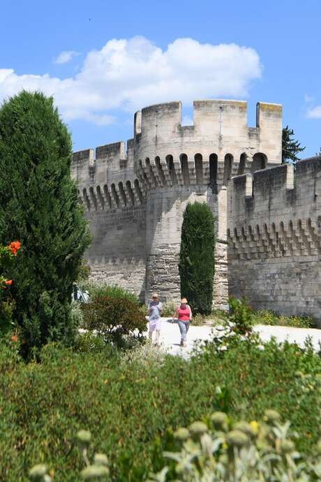 Cycle de visites guidées Avignon extra-muros