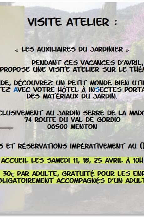 Besuch eines Workshops: Meine Helfer des Gärtners