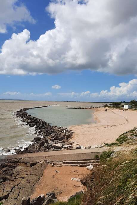 Visite guidée : Au fil de l'estuaire : Panoramas, forts et secrets de la presqu'île portbarquaise