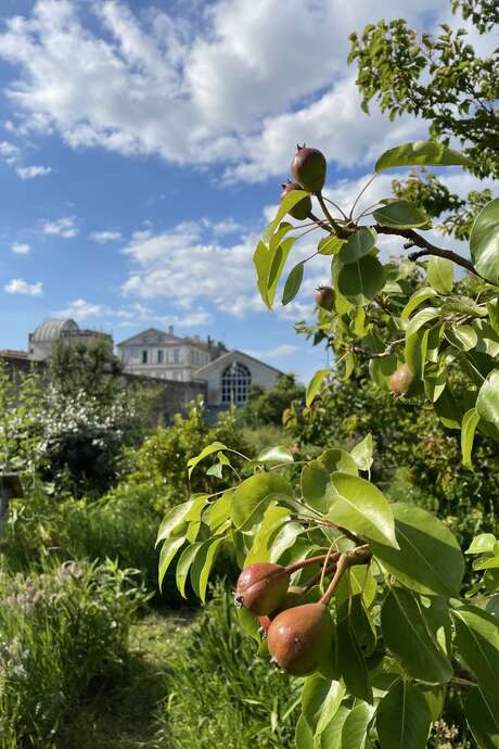 Les Universités de la Biodiversité : A la découverte du Potager du Roy