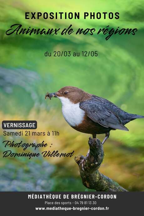 Photography exhibition: ‘Animals of Our Regions’