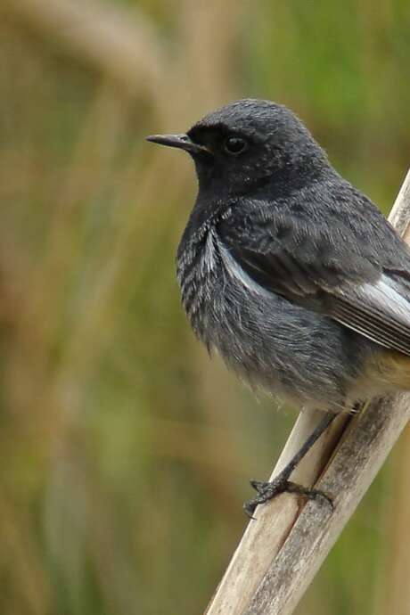 Ausflug in den Garten der Marine