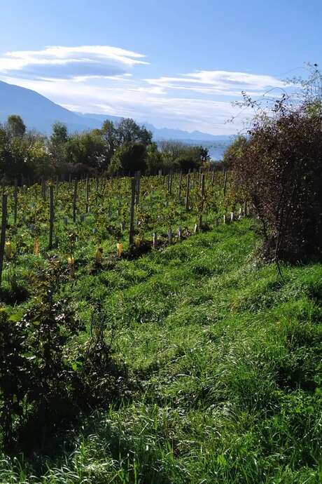 Les Pieds dans le Local®, special producers! Farm visit: Les Mangeux d'Pierre