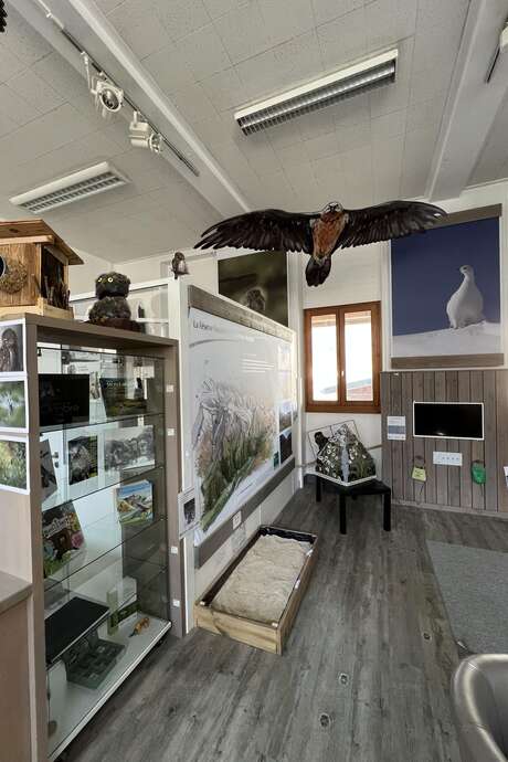 Visite libre de l'Espace Nature au Sommet