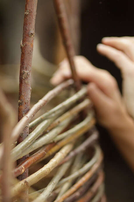 Basketry workshop